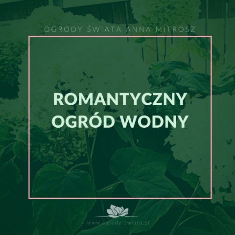 Ogrody Świata - Projektowanie, zakładanie i pielęgnacja ogrodów Białystok