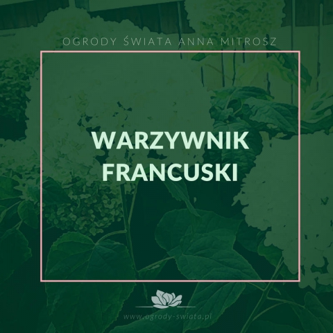 Ogrody Świata Białystok - Projekt ogrodu Białystok